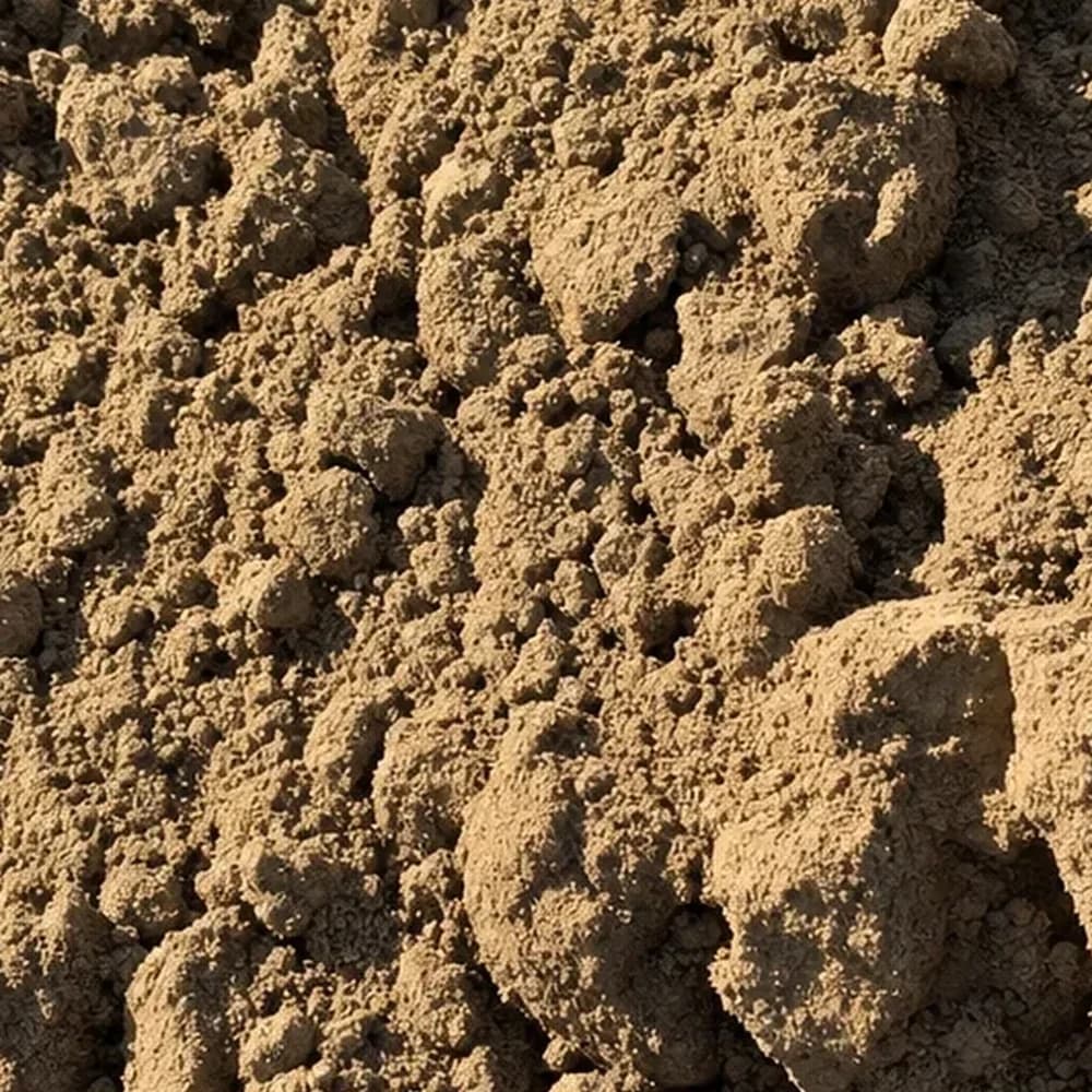 Fill Dirt