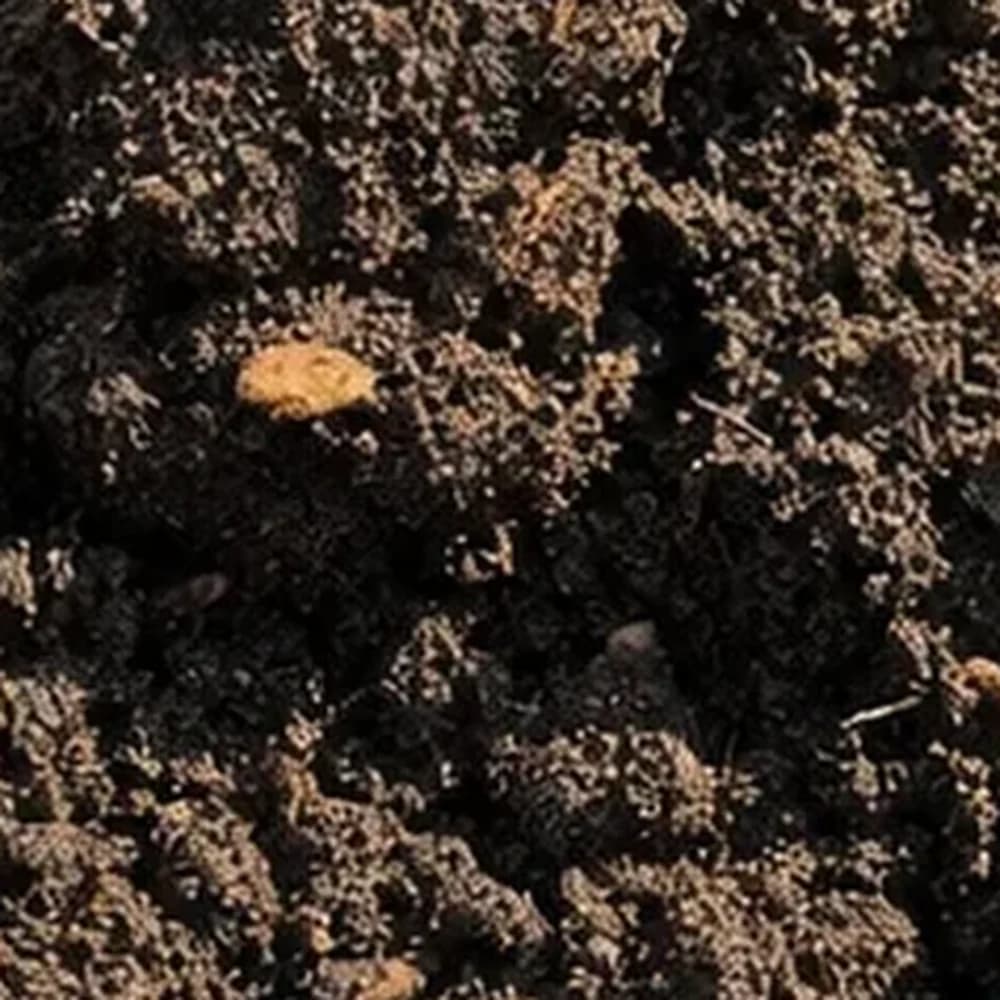 Garden Soil