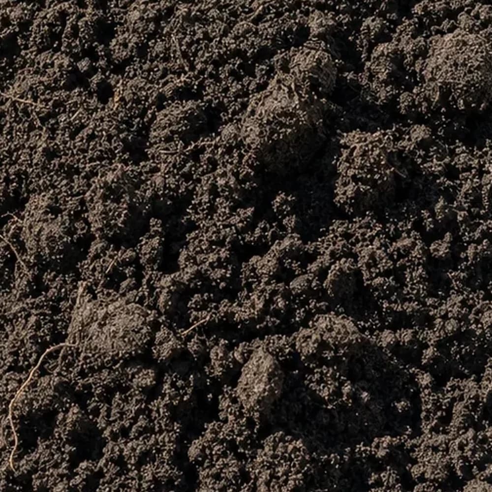 Top Soil